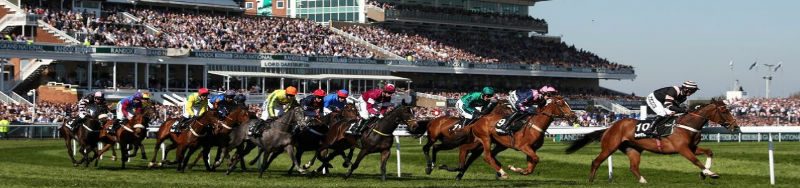 grand national declared